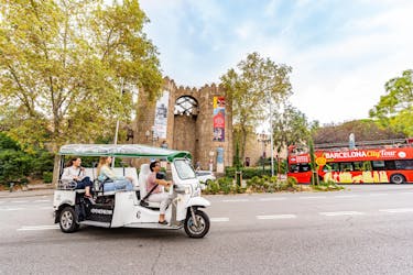 3-hour expert tour of Barcelona in a private electric tuk-tuk